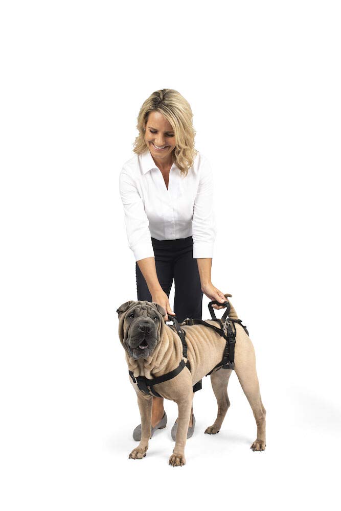 CareLift Support Harness - Full Body Lifting Aid with Handle - Great for Pet Mobility and Older Dogs - Comfortable, Breathable Material - Easy to Adjust, Medium