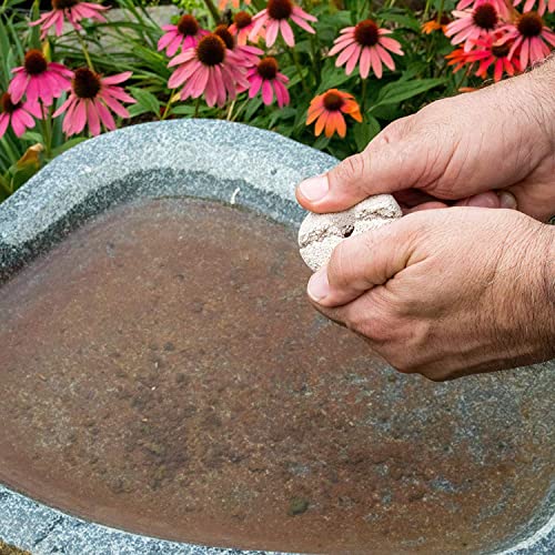 Mosquito Dunks 102-12 Mosquito Killer for Bird,Fish, 2 Pack