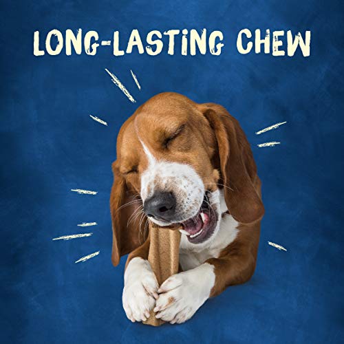 Made in USA Facilities Small/Medium Dog Bones, Original - 6 ct. Pouch