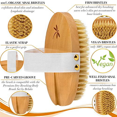 100% Vegan Dry Brushing Body Brush. Firm Dry Brush for Cellulite and Lymphatic. Brushes for Advanced Users. Exfoliating Skin Brush and Free Konjac Sponge, for a Softer, Glowing Skin