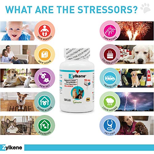 Zylkene Calming Support Supplement for Small Dogs and Cats, Helps Promote Relaxation and Reduce External Stress Factors, Daily Behavioral Support and Anxiety Relief for Dogs and Cats, 75mg