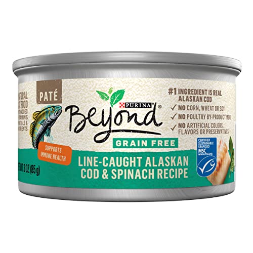 Purina Grain Free, Natural Pate Wet Cat Food, Grain Free Ocean Whitefish & Spinach Recipe - (12) 3 oz. Cans