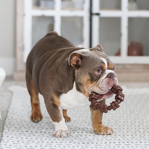 Textured Ring Power Chew Toy for Dogs, Dog Toys for Aggressive Chewers, Flavor Medley, X-Large Dogs - 50+ lbs, 1 Count
