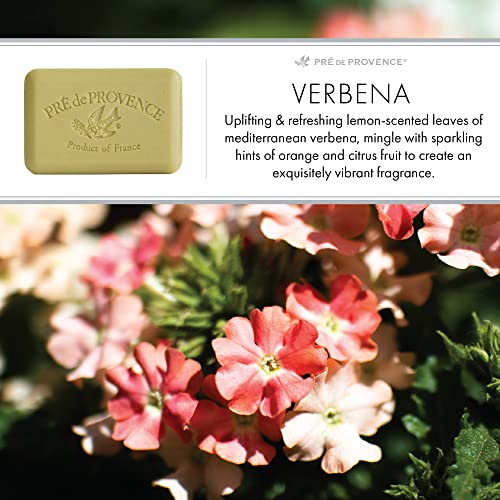 Artisanal French Moisturizing Soap Bar, Shea Butter Enriched, Quad Milled for Long Lasting Rich Smooth Lather, 5.3 Ounce, Verbena