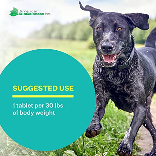 DGP All-Natural Joint Supplement for Dog Hip & Joint Support with Turmeric, Boswellia Extract, Feverfew - Quick Mobility Support - 60 Chew Tabs for Pets