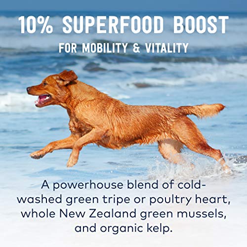 Peak Good Dog Rewards Training Treats – All Natural, Grain-Free, Healthy Dog Treats (Beef, 3oz)