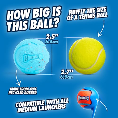 Rebounce Ball Dog Toy - Bouncy Fetch Balls for Dogs 20-60 lbs - Made from Durable Rubber - Outdoor Pet Toys - Size Medium - 2.5-inch Diameter - Pack of 2 - Blue