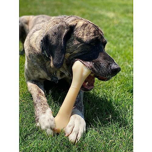 Monster Bone Power Chew Toy for Dogs, Dog Toys for Aggressive Chewers, Chicken Flavor, XX-Large - 50++ lbs, 1 Count