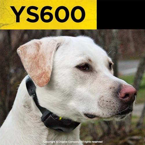 YS600 Rechargeable Waterproof High-Output No Bark Collar
