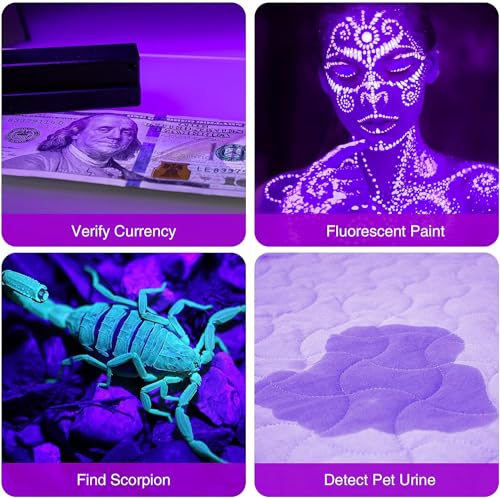 2 Pack UV Flashlight, 12 LED Handheld Blacklight Flashlight 395nm Mini Light Torch Detector for Dog Pet Urine Stains, Bed Bugs and Scorpions. (Batteries not Included)