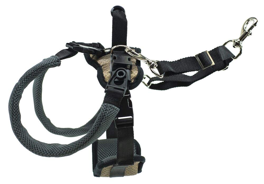 CareLift Rear Support Harness - Lifting Aid with Handle and Shoulder Strap - Fits Waist Measuring 19-31 inches, Dog Weight 35lb-70lb, Medium, Black