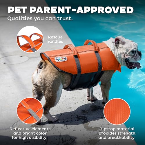 Granby Splash Orange Dog Life Jacket, Large