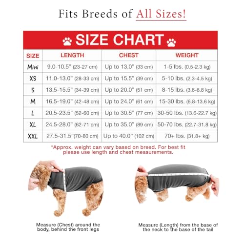 Recovery Suit for Dogs, Comfy Dog Surgery Suit, Female Spay and Male Neuter Onesie for Post-Op Care