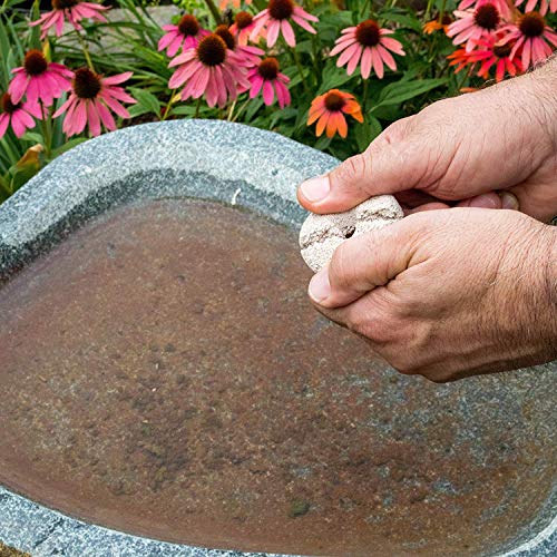 ...responsible solutions 110-12 Mosquito Dunks, 6-Pack