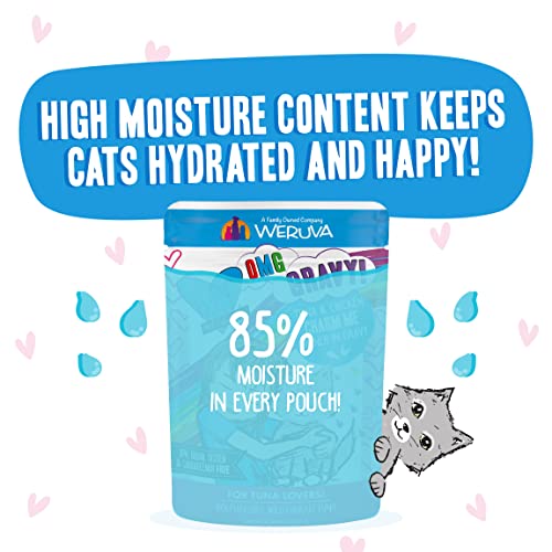 B.F.F. OMG - Best Feline Friend Oh My Gravy! Tuna & Chicken Charm Me with Tuna & Chicken in Gravy Cat Food, 3oz Pouch (Pack of 12)
