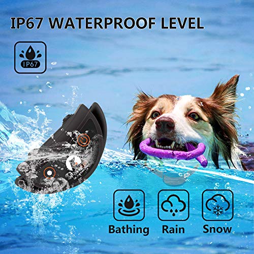 Vibrating Dog Collar, No Shock Dog Training Collar 2 Dogs, Deaf Dog Collars w/2 Receivers, Rechargeable & Waterproof, Up to 1600Ft Remote Range