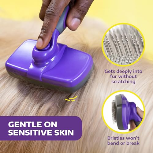 Self Cleaning Slicker Brush for Dogs and Cats - Pet Hair Brush for Shedding Long and Short Hair - Easy Clean Retractable Bristles - Cat and Dog Grooming Tool - Purple