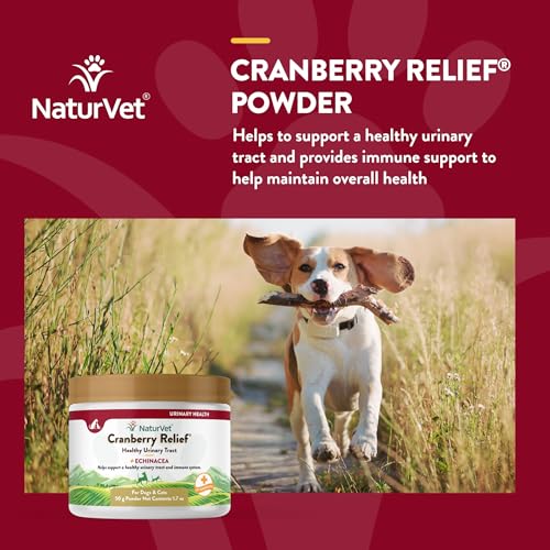 – Cranberry Relief Plus Echinacea | Helps Support a Healthy Urinary Tract & Immune System (50g Powder)