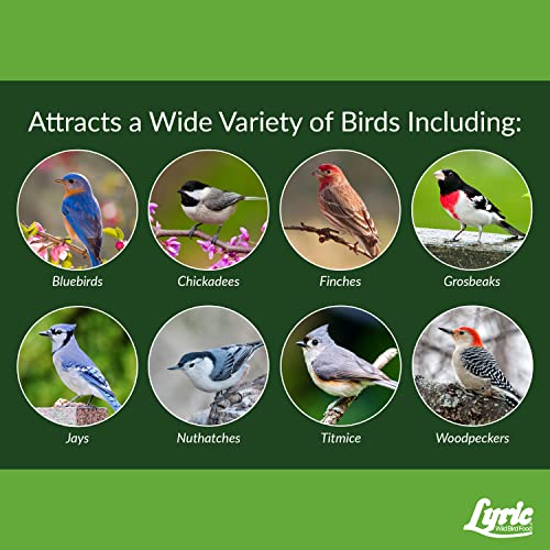 Fine Tunes Wild Bird Seed - No Waste Bird Food Mix - Attracts Bluebirds, Finches, Chickadees & More - 15 lb. Bag