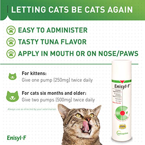 Enisyl-F Oral Paste: L-Lysine Supplement for Cats - Tuna Flavor, 3.5oz (100mL) Pump