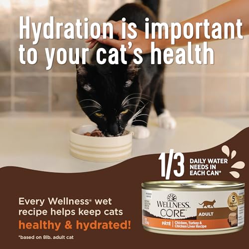 CORE+ Indoor Pate Adult Wet Cat Food, Natural, Protein-Rich, Grain Free, 3 Ounce, 12 Pack (Chicken & Chicken Liver)