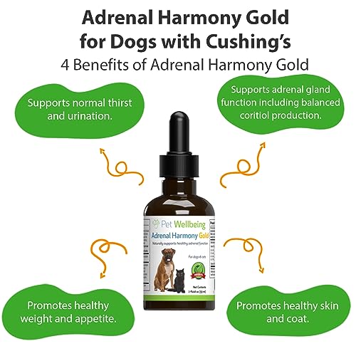 Adrenal Harmony Gold for Dogs - Supports Cortisol Balance, Adrenal Gland Function, Healthy Skin & Weight, Ashwagandha - Veterinarian-Formulated Herbal Supplement 2 oz (59 ml)