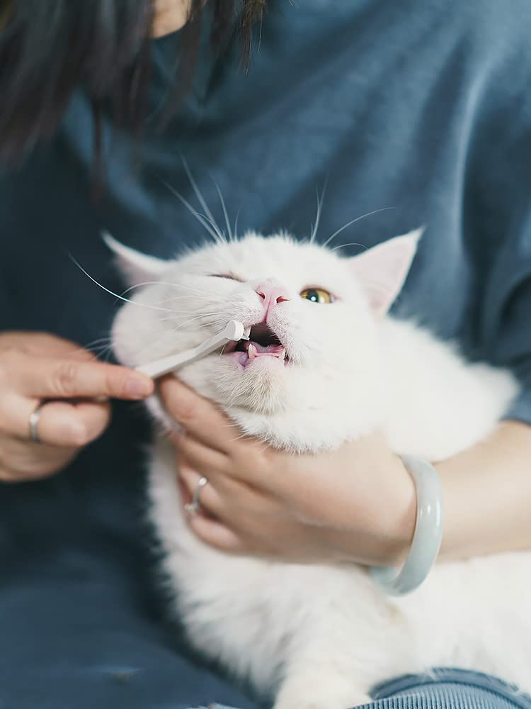 Toothbrush Micro Head for Cats Made in Japan by Nyanko Care (1)