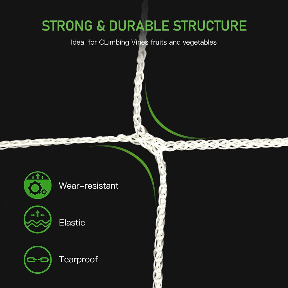 Trellis Netting, Heavy-Duty Garden Plant Trellis Netting for Climbing Plants, Outdoor Indoor Grow Net for Beans Tomatoes Peas Pumpkin Flowers, 6x15ft, 1 Pack