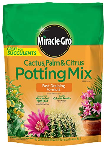 Cactus, Palm and Citrus Potting Mix, For Indoor or Outdoor Container Plants, Great for Succulents, 8 qt.