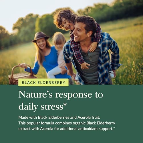 Black Elderberry - Daily Immune Support Supplement to Help Maintain Well-Being- with Black Elderberries and Acerola Fruit for Antioxidant Support - 120 Vegan Capsules (60-Day Supply)