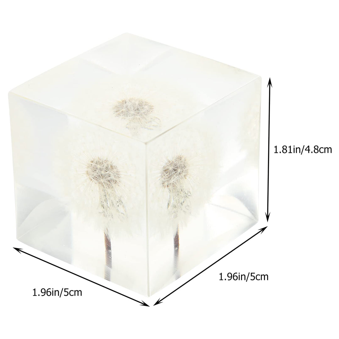 3D Dandelions Paperweight Real Puff Specimen Statue in Crystal Glass Cube Desk Ornament Fengshui Decor for Graduation Birthday Glass Balls