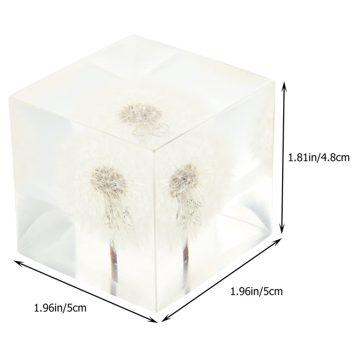 3D Dandelions Paperweight Real Puff Specimen Statue in Crystal Glass Cube Desk Ornament Fengshui Decor for Graduation Birthday Glass Balls