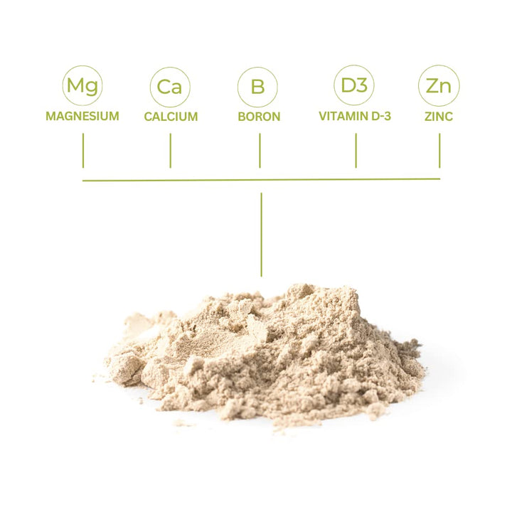 Beyond Osteo FX - Tropical Vanilla | Healthy Bone & Joint Support | Multi-Vitamin Powder | 6 Canister