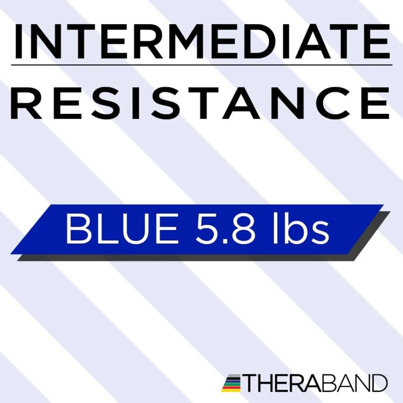 THERABAND Resistance Band Loop, Professional Latex Mini Band for Lower Pilates, Crossfit, Yoga, Stretching, Physical Therapy, Strength Training no Weights, 8 Inch, Blue, Extra Heavy, Advanced Level 1