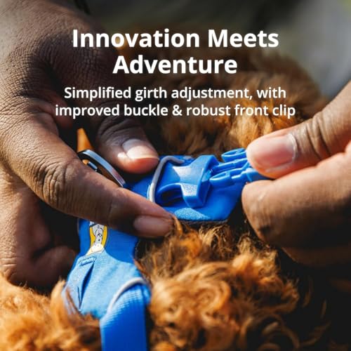 , Front Range Dog Harness, Reflective Soft Padded Everyday Harness with Dual Leash Clips, Adjustable and Lightweight Fit for Training or Walking for All Dogs, Campfire Orange, Medium