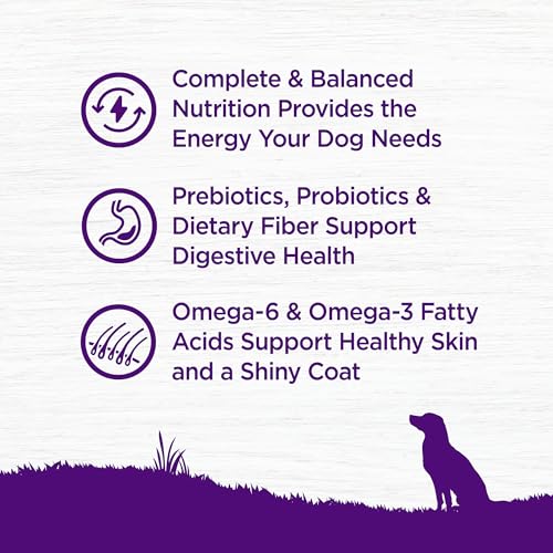 Complete Health Dry Dog Food, Wholesome Grains, Natural, Chicken & Oatmeal, (5-Pound Bag)