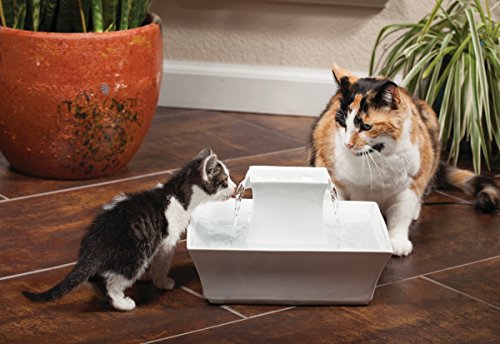 Drinkwell Pagoda Ceramic Cat & Dog Water Fountain, 70oz Capacity, Encourages Hydration, Open Bowl Design, White