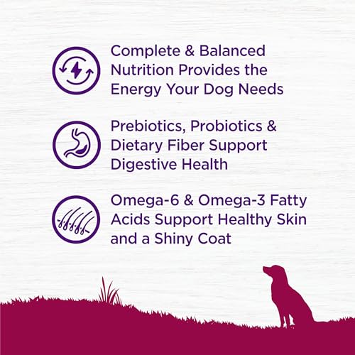 Complete Health Small Breed Dry Dog Food with Grains, Natural Ingredients, Made in USA with Real Turkey, For Dogs Up to 25 lbs, (Adult, Turkey & Oatmeal, 4-Pound Bag)