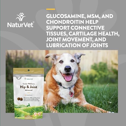 – Senior Wellness Hip & Joint Advanced Plus Omegas | Help Support Your Pet’s Healthy Hip & Joint Function | Supports Joints, Cartilage & Connective Tissues | 120 Soft Chews