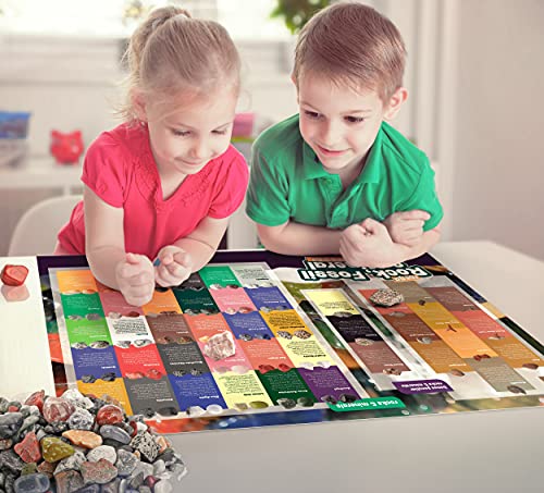 Rock Collection for Kids. Includes 250+ Bulk Rocks, Gemstones & Crystals + Genuine Fossils and Minerals - 2 Lbs. - Geology Science STEM Toys, Gifts for Boys & Girls Ages 6+. Earth Science Activity