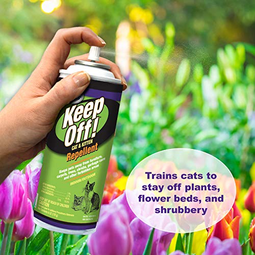 Keep Off Pet Repellent Spray for Outdoors & Indoors, Dog & Cat Chew & Scratch Deterrent, 6 oz.