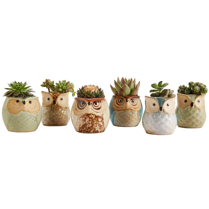 Owl Pot Ceramic Flowing Glaze Base Serial Set Succulent Plant Pot Cactus Plant Pot Flower Pot Container Planter with Drainage Hole Home Office Desk Garden Gift Idea 6pcs 2.5 Inch