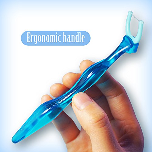 Evolutionary Clean Dental Flossers, Kit of Refills Plus Mid-Length Handle (1 Handle + 100 Refills)