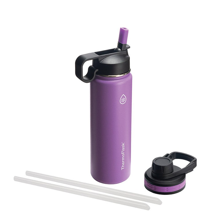 ThermoFlask 24 oz Double Wall Vacuum Insulated Stainless Steel Water Bottle with Spout and Straw Lids, Plum