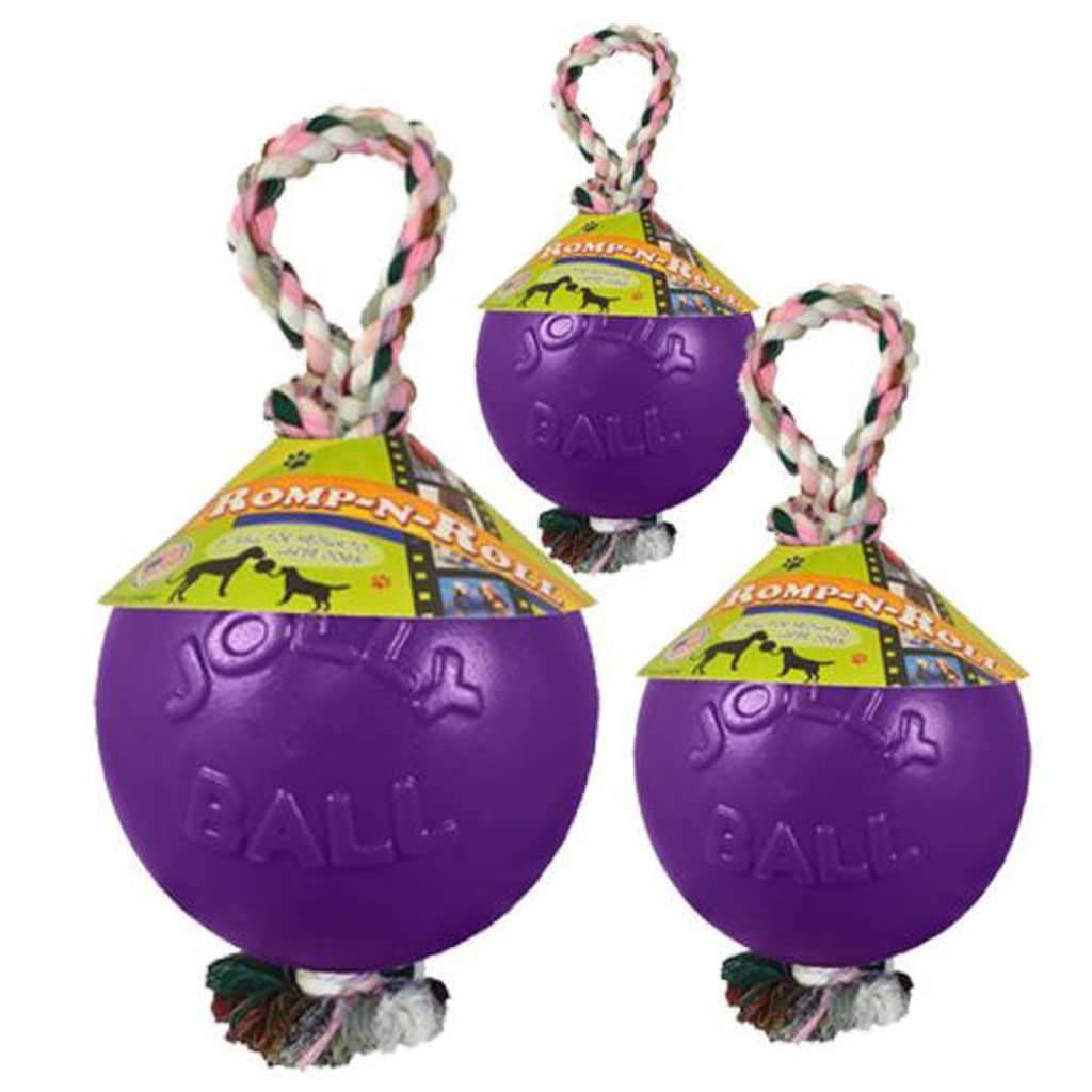 Romp-n-Roll Rope and Ball Dog Toy, 8 Inches/Large, Purple, Large Breeds