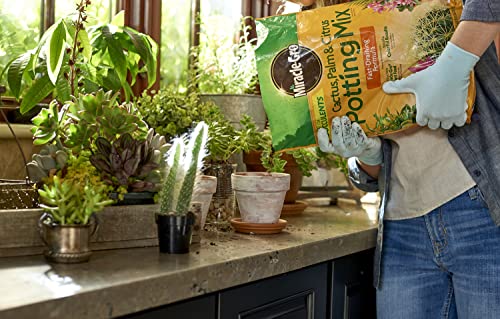 Cactus, Palm and Citrus Potting Mix, For Indoor or Outdoor Container Plants, Great for Succulents, 8 qt.