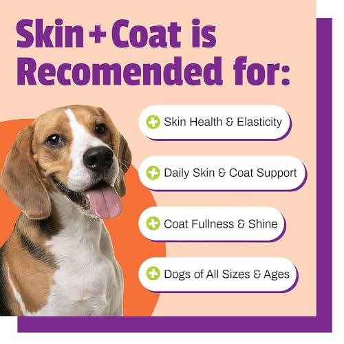 Skin and Coat for Dogs with Dry, Itchy and Irritated Skin, 30 Chews - Salmon Oil, Vitamin E and Flax Oil - No Corn or Wheat - Vet Recommended