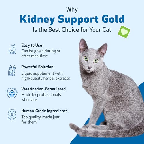 Kidney Support Gold for Cats - Supports Healthy Kidney Function, Fluid Balance, Energy Levels, Rehmannia, Dong Quai - Veterinarian-Formulated Herbal Supplement 2 oz (59 ml)