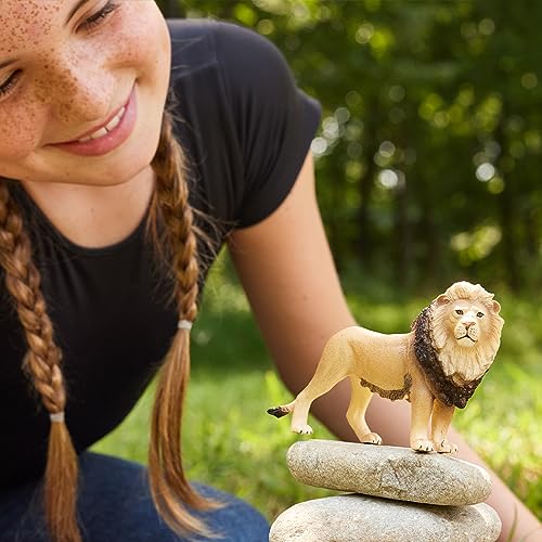 14812 - Lion