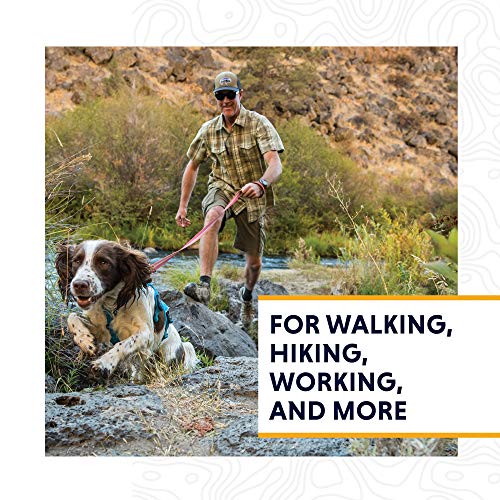 Ruffwear, Web Master, Multi-Use Support Dog Harness, Hiking and Trail Running, Service and Working, Everyday Wear, Blue Dusk, X-Small